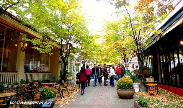 Những điểm ngắm mùa thu sang đẹp nhất Seoul