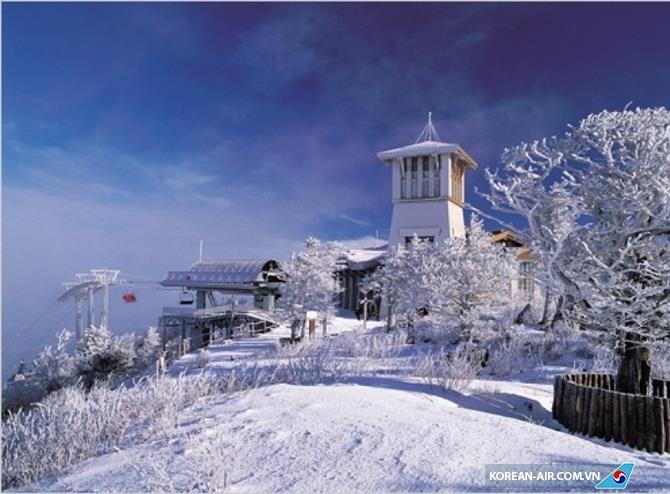 Khu nghỉ dưỡng trượt tuyết Yongpyong