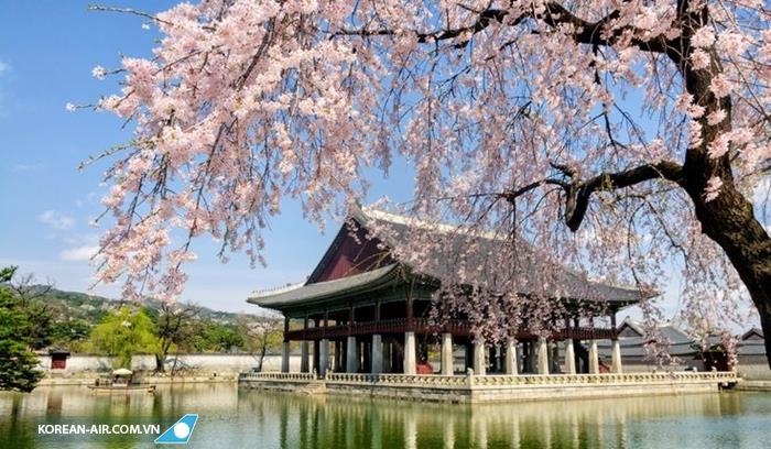 Một ngôi chùa truyền thống ở Hàn quốc