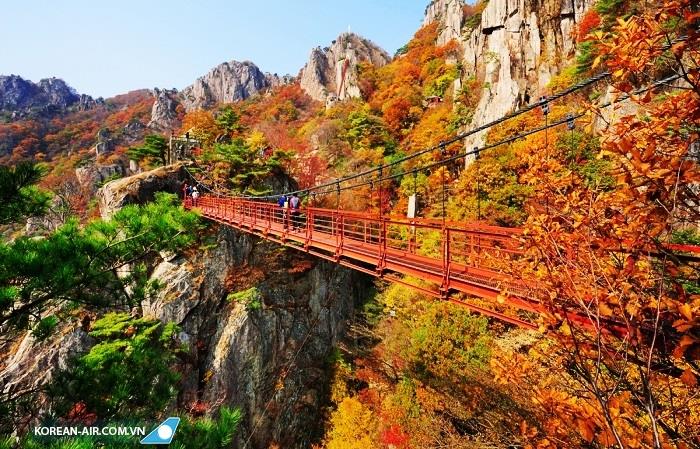 Thưởng ngoạn mùa thu Hàn quốc trên núi Namsan
