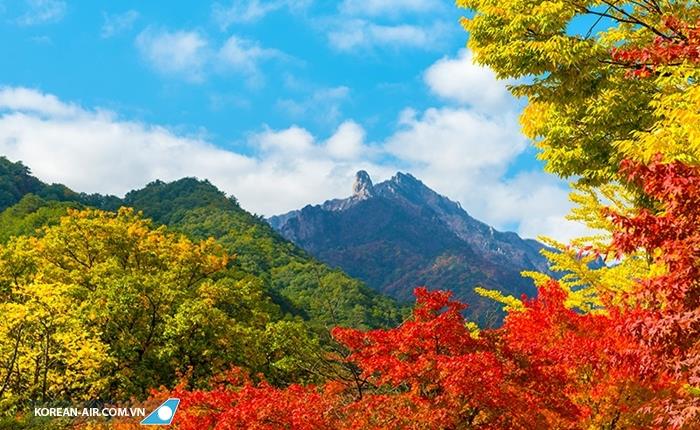 Công viên Quốc gia Seoraksan đẹp rực rỡ vào mùa thu